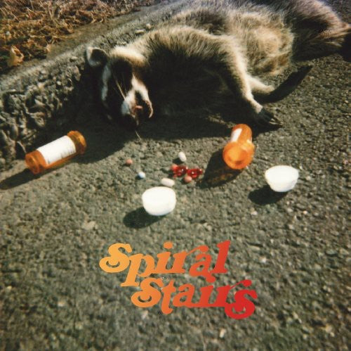 the album cover for Spiral Stairs - The Real Feel