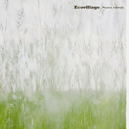 the album cover for Ecovillage - Phoenix Asteroid