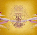 the album cover for Devendra Banhart - What Will We Be [Limited Edition]