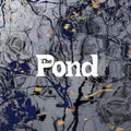 the album cover for The Pond - The Pond