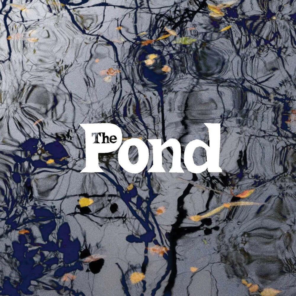 the album cover for The Pond - The Pond
