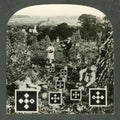 the album cover for Nesey Gallons - Eyes and Eyes and Eyes Ago