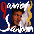 the album cover for David Sanborn - Change of Heart