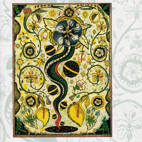 the album cover for Steve Earle - I Feel Alright