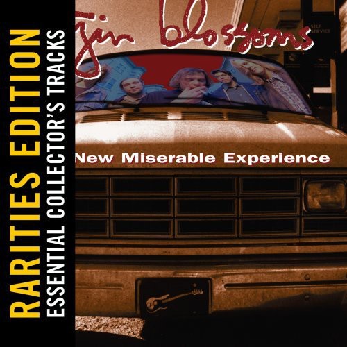 the album cover for Gin Blossoms - New Miserable Experience: Rarities Edition