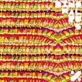 the album cover for Dinowalrus - %