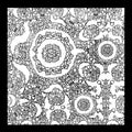 the album cover for Mouthus & Bulbs - Split