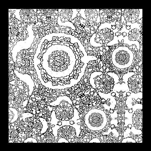 the album cover for Mouthus & Bulbs - Split