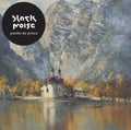 the album cover for Pantha Du Prince - Black Noise