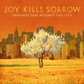 the album cover for Joy Kills Sorrow - Darkness Sure Becomes This City