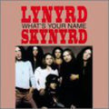 the album cover for Lynyrd Skynyrd - What's Your Name