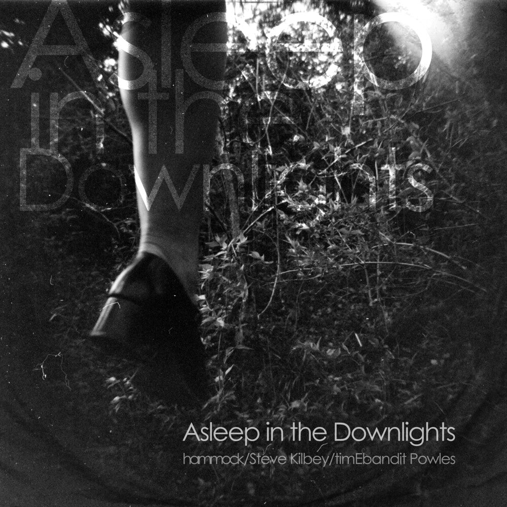 the album cover for Hammock - Asleep In The Downlights