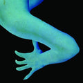 the album cover for Coconuts - Coconuts