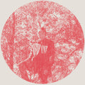 the album cover for Owen Pallett - Heartland