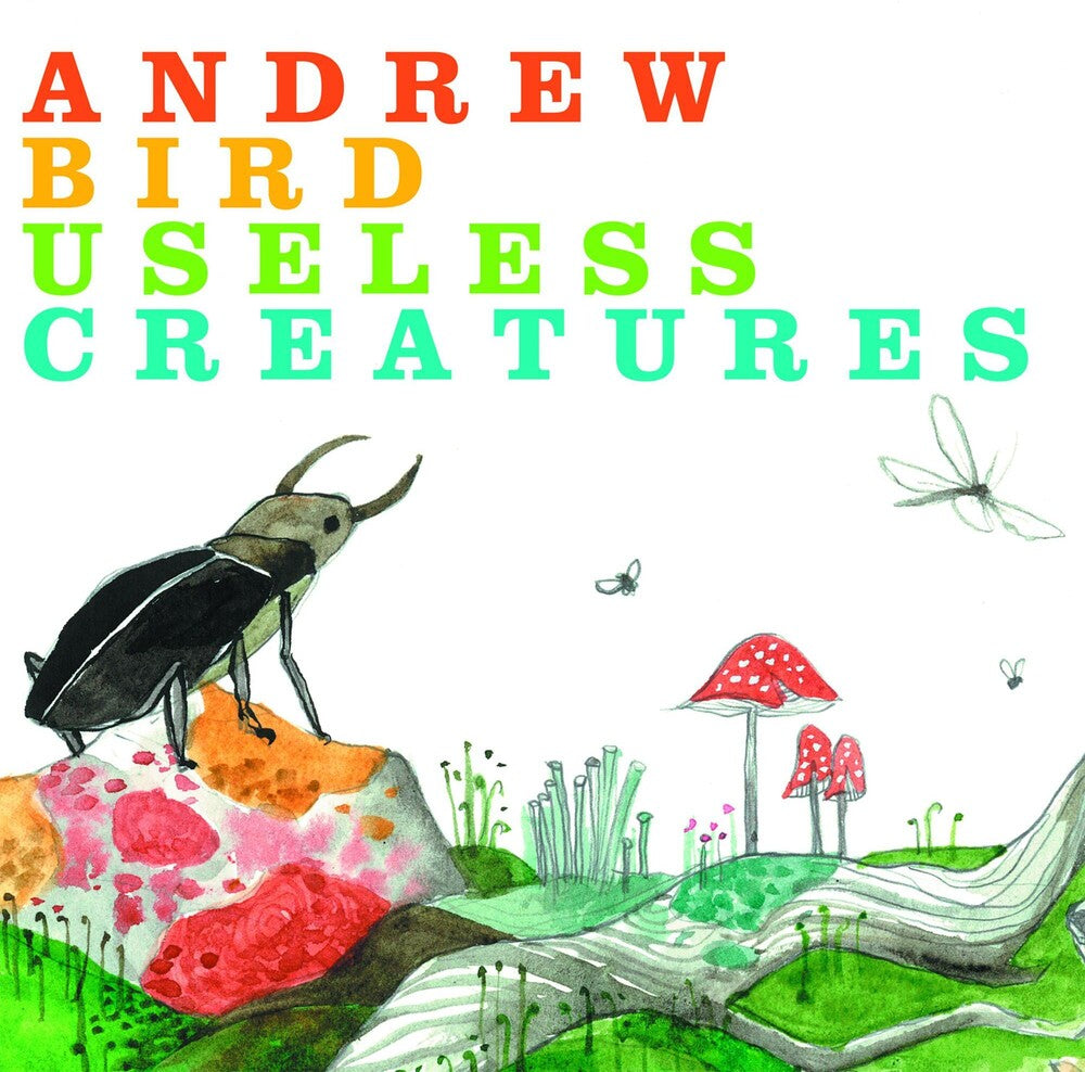 the album cover for Andrew Bird - Useless