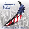 the album cover for American Velvet Tribute To The Velvet Underground - American Velvet: A Tribute To The Velvet Underground