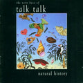 the album cover for Talk Talk - Natural History: Very Best of Talk Talk