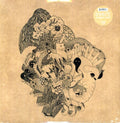 the album cover for Dimlite - Prismic Tops