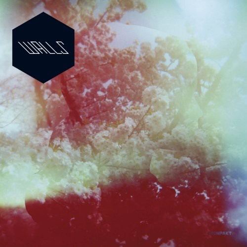 the album cover for Walls - Walls