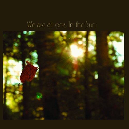 the album cover for We Are One In The Sun A Tribute To Robbie Basho - We Are All One, In The Sun: A Tribute To Robbie Basho