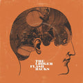 the album cover for The Lodger - Flashbacks