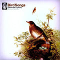 the album cover for B-Music - Bird Songs / Various