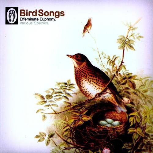 the album cover for B-Music - Bird Songs / Various