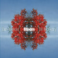 the album cover for Ben Monder Trio - Bloom