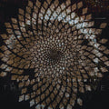the album cover for Scale The Summit - The Collective