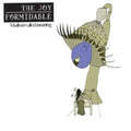 the album cover for The Joy Formidable - Balloon Called Moaning