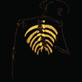 the album cover for Pontiak - Living