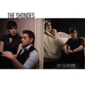 the album cover for Shondes - My Dear One