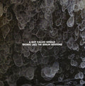 the album cover for Guy Called Gerald - Tronic Jazz: Berlin Sessions