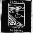 the album cover for Dead C - Max Harris