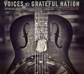 the album cover for Voices Of A Grateful Nation Supporting American T - Voices Of A Grateful Nation, Vol. 2