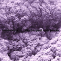 the album cover for Trentemoller - Into the Great Wide Yonder