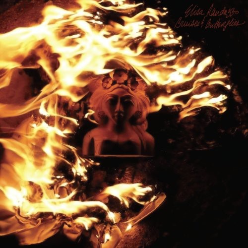 the album cover for Elisa Randazzo - Bruises and Butterflies