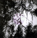 the album cover for High Places - Can't Feel Born
