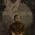 the album cover for Engineer - Crooked Voices