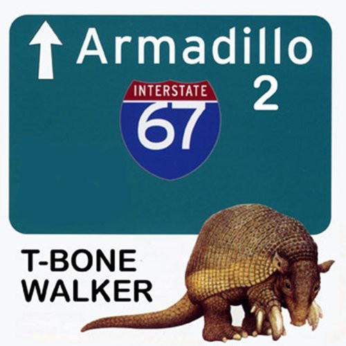 the album cover for T-Bone Walker - Vol. 2-Armadillo [Import]