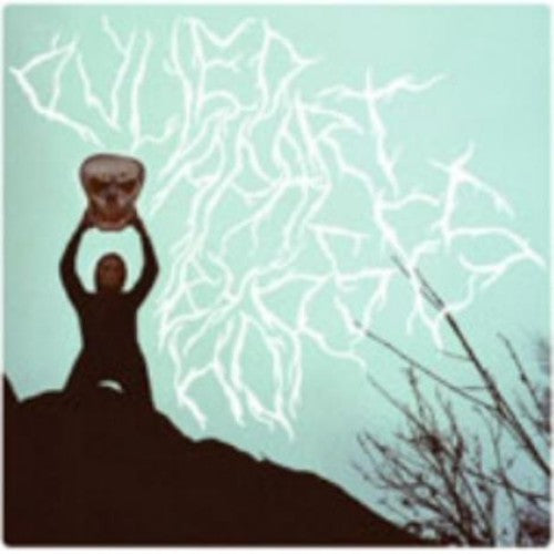 the album cover for Pulled Apart By Horses - Pulled Apart By Horses [Import]