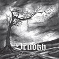 the album cover for Drudkh - Autumn Aurora