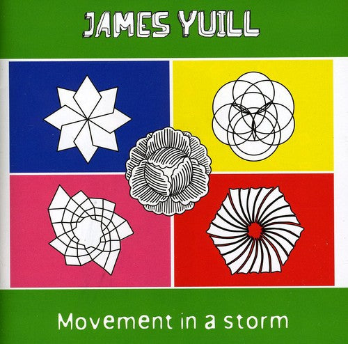 the album cover for James Yuill - Movement In A Storm [Import]