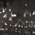 the album cover for HEAVY WINGED - Fields Within Fields