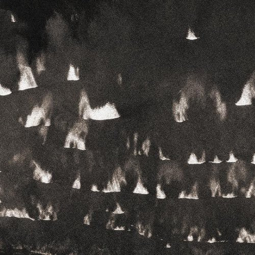 the album cover for HEAVY WINGED - Fields Within Fields