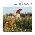 the album cover for Walter Trout - Common Ground