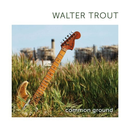 the album cover for Walter Trout - Common Ground