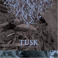 the album cover for Tusk - The Resisting Dreamer