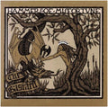 the album cover for Hammers Of Misfortune - The Bastard