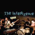 the album cover for Intelligence - Males